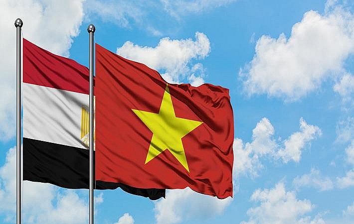 Vietnam-Egypt relations get stronger and stronger